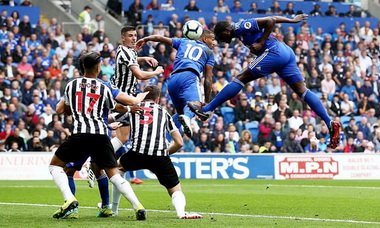 Cardiff City vs Newcastle Extended Highlights • Full Match  Highlights TV