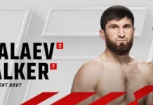 Ankalaev vs Walker 2